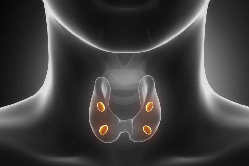 Diagnostico e tratamento do hipoparatireoidismo e hiperparatireoidismo: entenda!