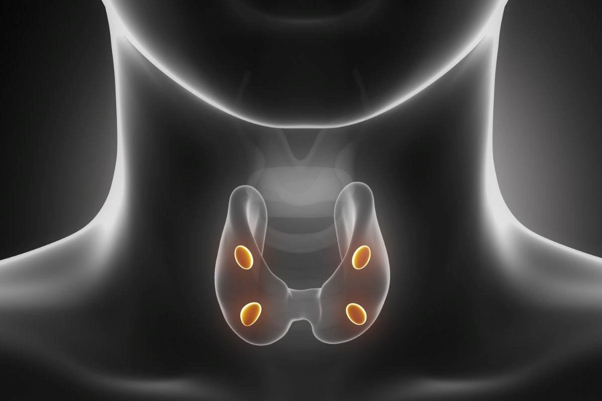 hipoparatireoidismo-hiperparatireoidismo-dra-jessica-moraes-endocrinologista-sao-paulo
